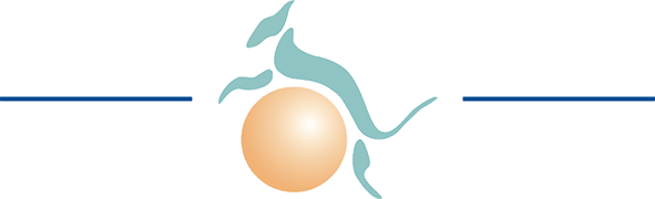 Logo Logo