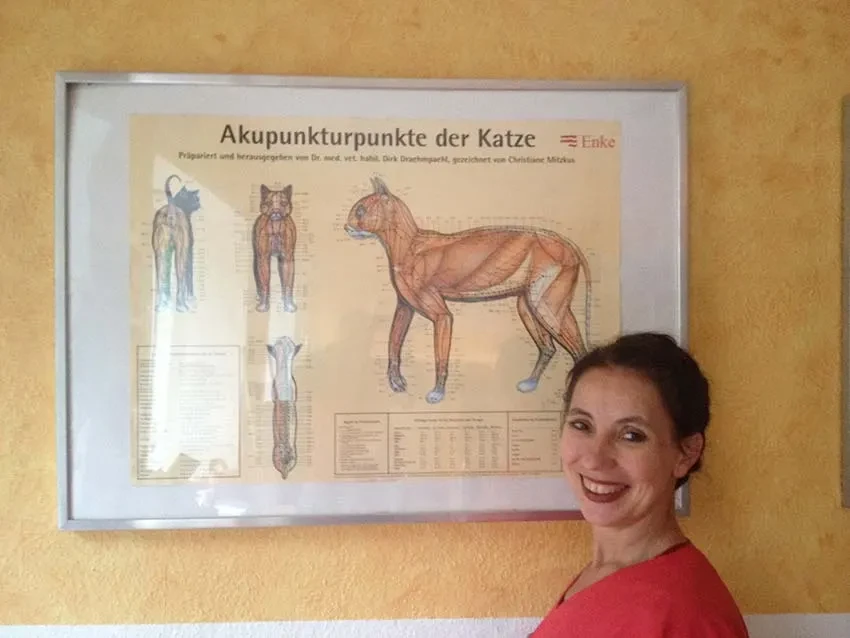 akkupunktur akkupunktur